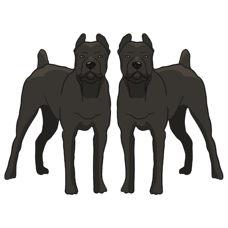 Signmission Cane Corso Dog Decal, Dog Lover Decor Vinyl Sticker D-24-Cane Corso